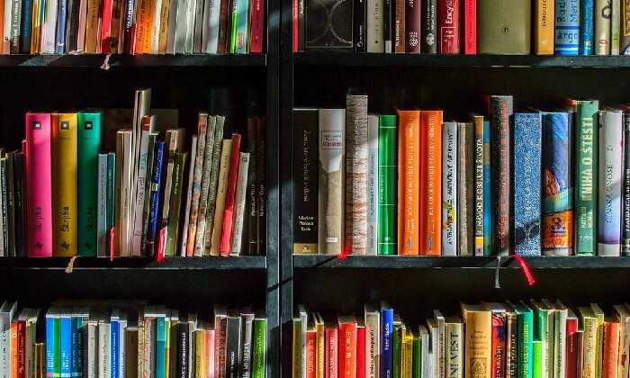 Puzzle Etagères de livres