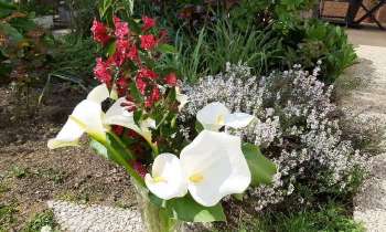 Puzzle 5207 - Fleurs du jardin