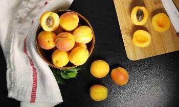 12484 | Abricots - 