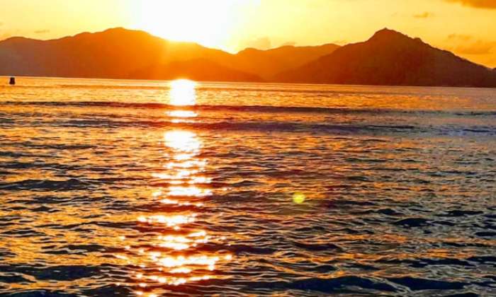 Puzzle coucher du soleil - Paysages & Fleurs - Absolu Puzzle