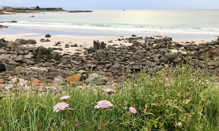 Puzzle L’Anse du Guillec