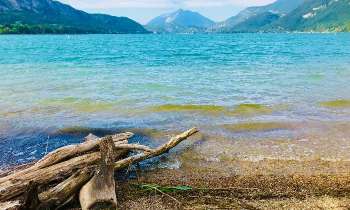 Puzzle 9631 - Le Bout du Lac