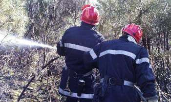Puzzle 5311 - Pompiers