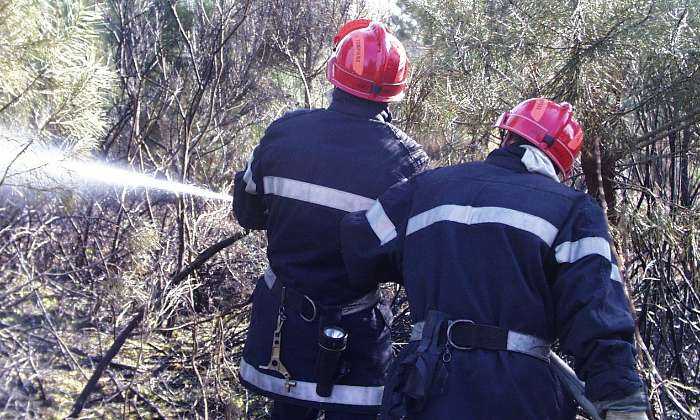 Puzzle Pompiers