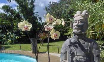 Puzzle 5283 - Orchidées dans le jardin