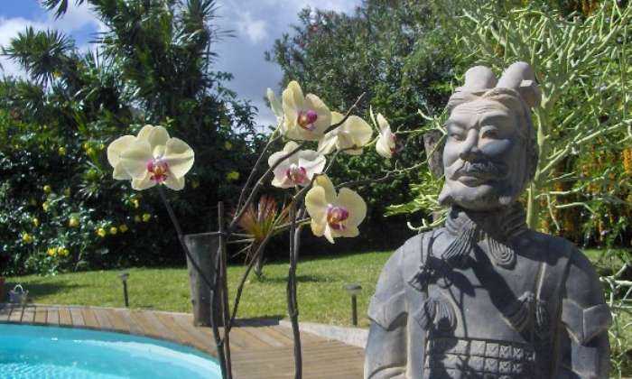 Puzzle Orchidées dans le jardin