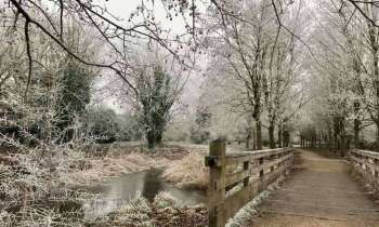 Puzzle 7701 - Parc sous la neige (59)