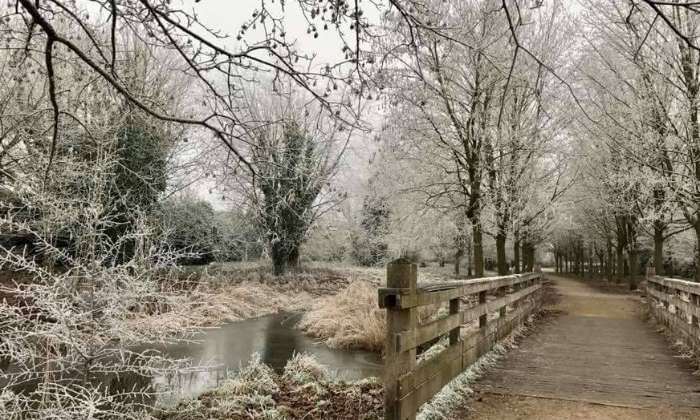 Puzzle Parc sous la neige (59)