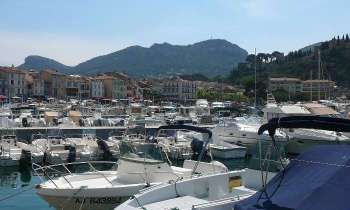 Puzzle 9871 - Cassis