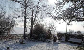 Puzzle 9972 - Neige au jardin