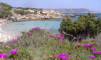 Puzzle 5373 - Sardaigne
