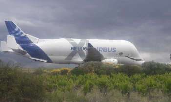 Puzzle 14316 - BELUGA