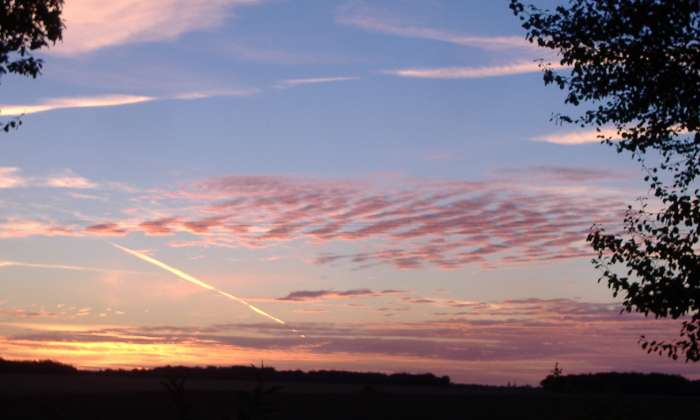 Puzzle Lever de soleil - Paysages & Fleurs - Absolu Puzzle