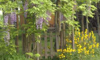 Puzzle 14263 - Feuillages et fleurs