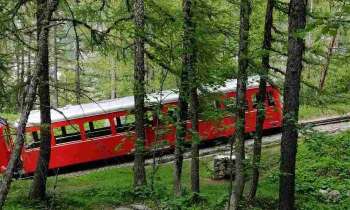 Puzzle 5481 - Train en forêt