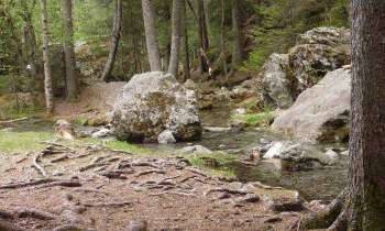 Puzzle 5418 - Bois du paradis à Chamonix