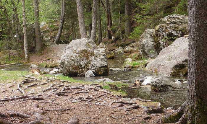 Puzzle Bois du paradis à Chamonix