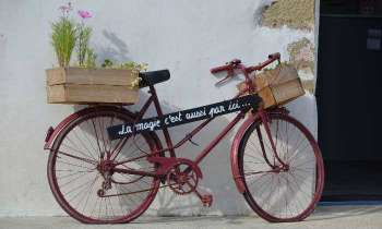 Puzzle 5331 - Vélo ancien