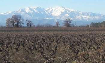 Puzzle 8285 - LE CANIGOU
