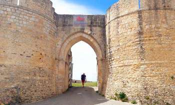 Puzzle 12240 - Porte du château