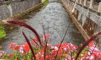 Puzzle 7757 - Canal