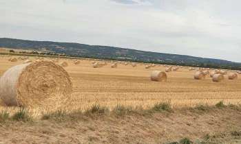 Puzzle 5340 - Paysage de Normandie