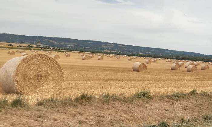 Puzzle Paysage de Normandie