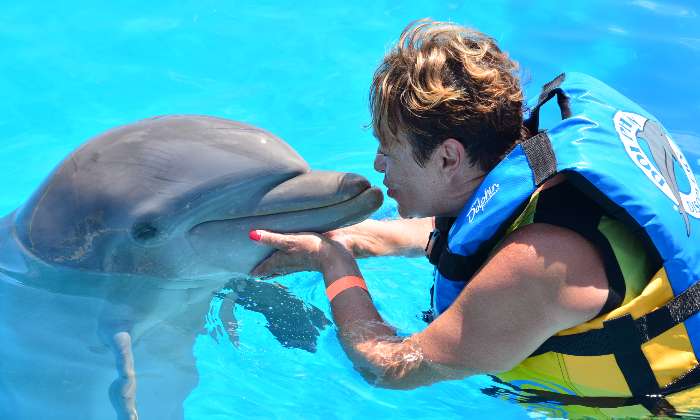 Puzzle Baignade avec un dauphin