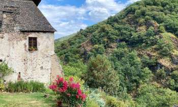 Puzzle 11578 - nature sauvage dans l'Aveyron