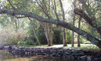 Puzzle 5335 - parc de la brière