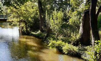 Puzzle 12692 - Marais Poitevin