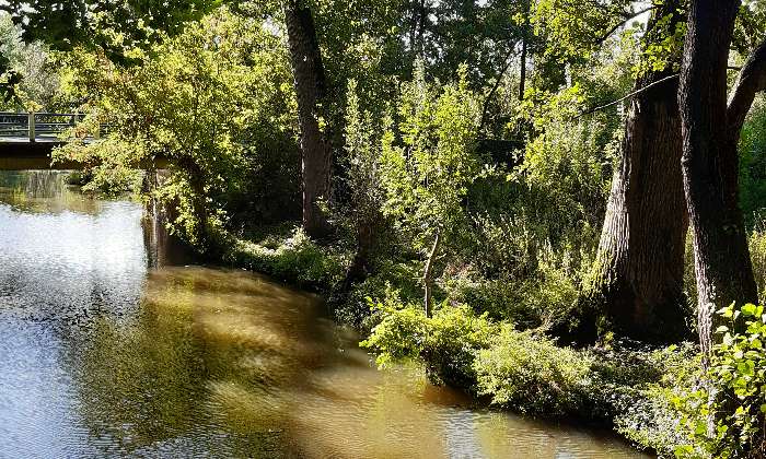 Puzzle Marais Poitevin