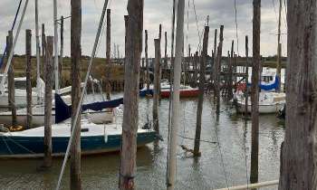 Puzzle 11068 - Port d'Aiguillon sur Mer