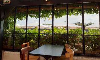 Puzzle 11051 - restaurant
