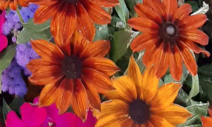 Puzzle fleurs