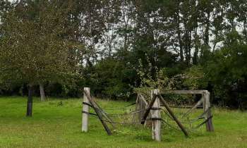 Puzzle 11607 - la campagne normande