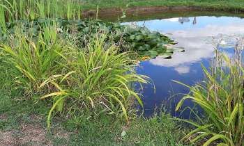 Puzzle 9711 - Bassin