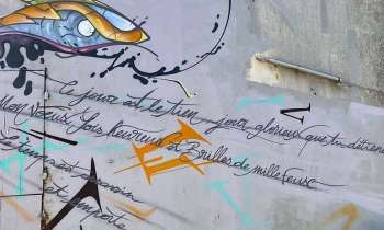 Puzzle 11005 - street art