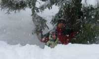 Puzzle paysage de neige
