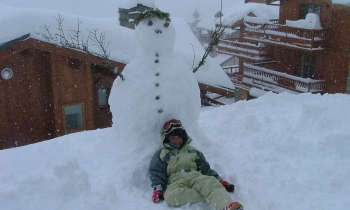 Puzzle 11346 - bonhomme de neige