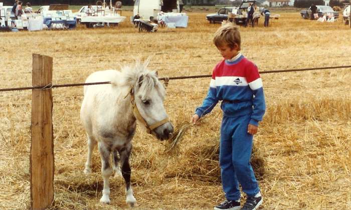 Puzzle fête de la moisson - Animaux - Absolu Puzzle