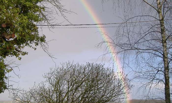 Puzzle Arc en ciel