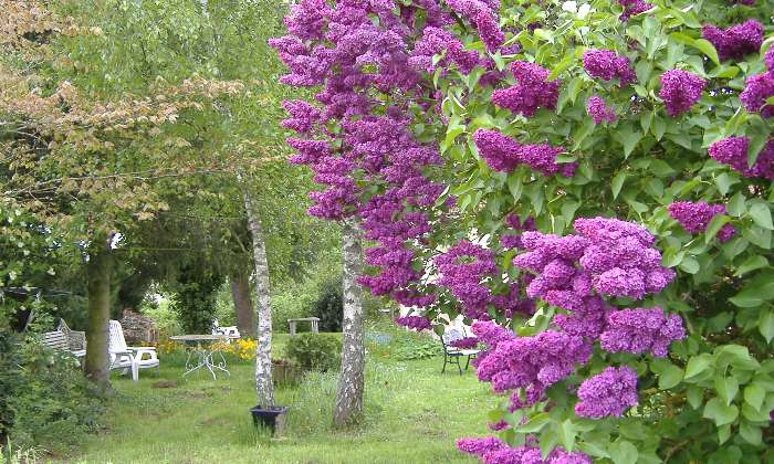 Puzzle coin de jardin au printemps