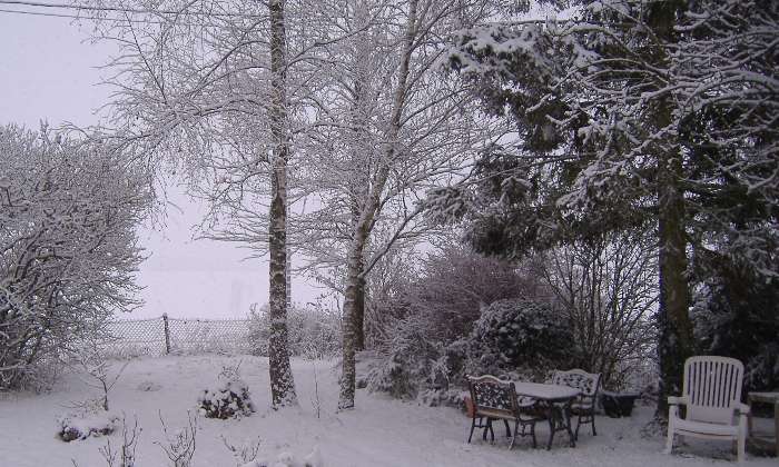 Puzzle Jardin sous la neige