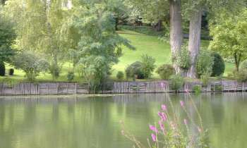 Puzzle 8738 - Bord du Loing