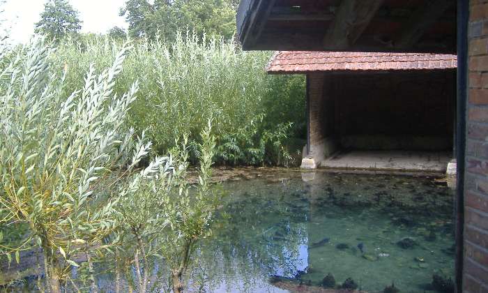 Puzzle La source de l'Orvanne