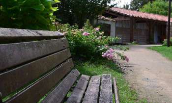 Puzzle 14941 - Banc dans un parc