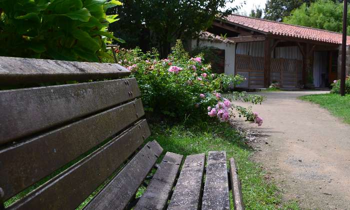 Puzzle Banc dans un parc - Paysages & Fleurs - Absolu Puzzle