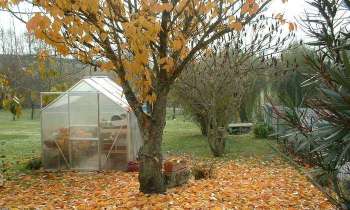 Puzzle 5379 - Automne