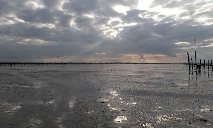Puzzle Coucher de soleil